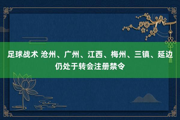 足球战术 沧州、广州、江西、梅州、三镇、延边仍处于转会注册禁令