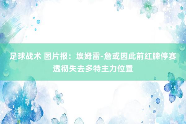 足球战术 图片报：埃姆雷-詹或因此前红牌停赛透彻失去多特主力位置