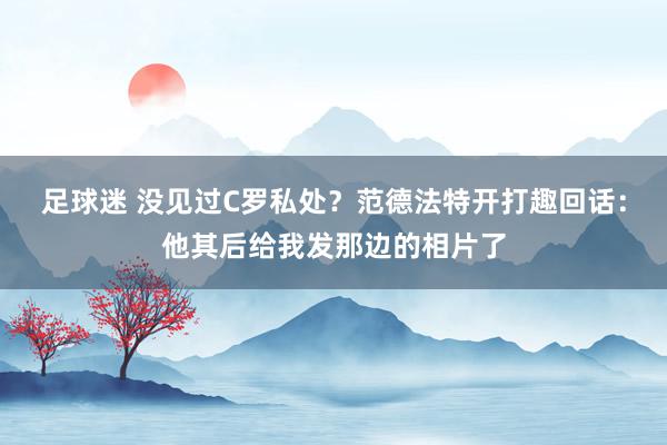 足球迷 没见过C罗私处？范德法特开打趣回话：他其后给我发那边的相片了