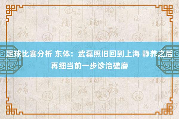 足球比赛分析 东体：武磊照旧回到上海 静养之后再细当前一步诊治磋磨