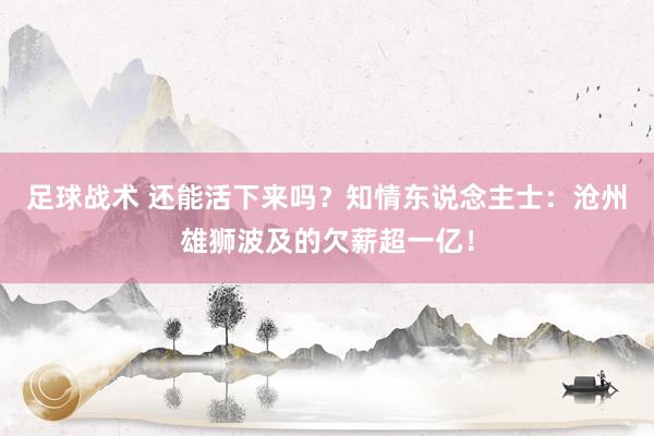 足球战术 还能活下来吗？知情东说念主士：沧州雄狮波及的欠薪超一亿！