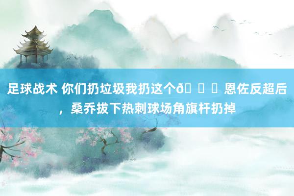 足球战术 你们扔垃圾我扔这个😂恩佐反超后，桑乔拔下热刺球场角旗杆扔掉