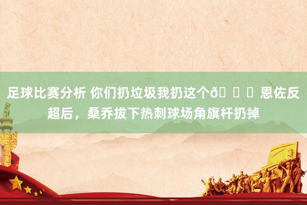 足球比赛分析 你们扔垃圾我扔这个😂恩佐反超后，桑乔拔下热刺球场角旗杆扔掉