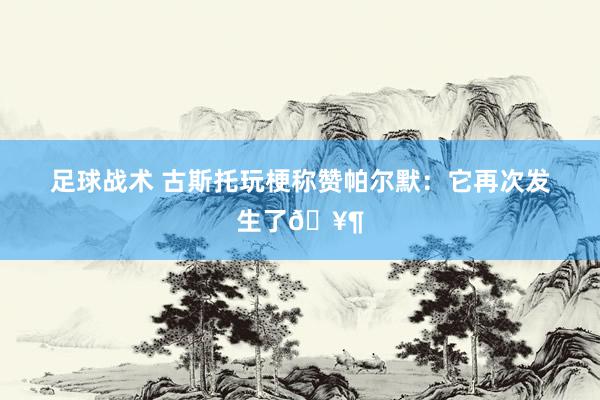 足球战术 古斯托玩梗称赞帕尔默：它再次发生了🥶